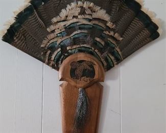 Wild turkey tail fan feathers w/long beard plaque