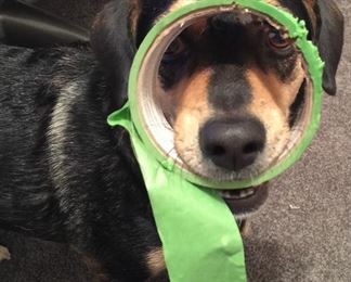 Clutter Sweepers Official Mascot!