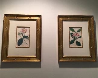 Framed Antique Botanicals