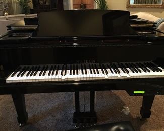 Beautiful Condition Player Piano