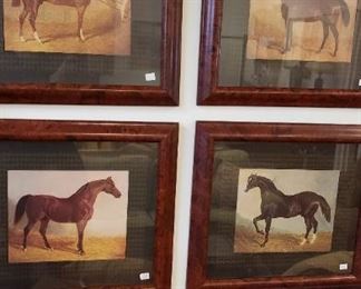 Horse prints