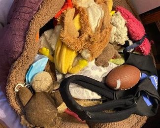 Dog bed and toys