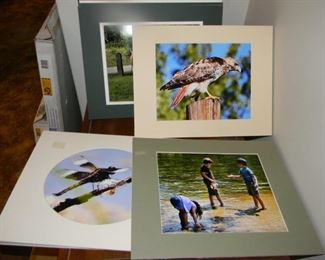 lots of nice photos