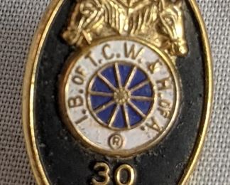 30 Year Union Pin