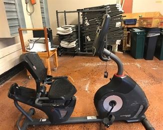 Schwann exercise bike