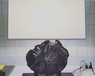 Fossilized Wood slab lamp featured on custom metal mount with off white linen shade 17" x 6.5" x 24" $600