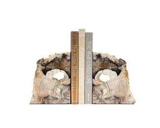 Fossilized wood bookends from a private American forest, hand polished to high gloss pricing varies by size, available at studio to view, assorted colors $40 - $350 for giant 14" tall
