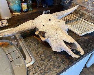 BULL SKULL W/HORNS