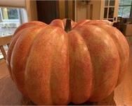 Decorative Pumpkin