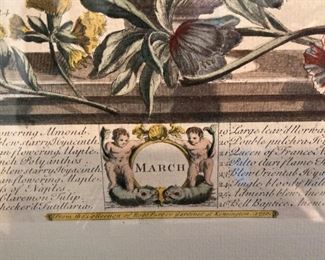 "March" botanical