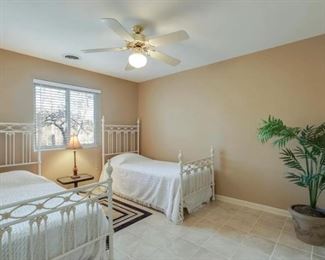 Iron beds with twin mattresses, artificial plant