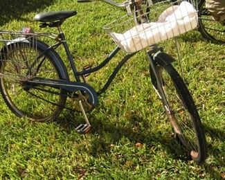 bicycle with baskets