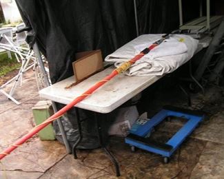 pruning saw