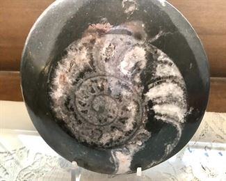 $100 - Large  Fossil on stand.  5"D