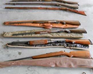 Rifle shotguns, Winchester, Remington, Henry, Springfield