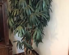 Decorative Plant 9'-10' 