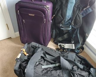 Travel bags, Back packs 