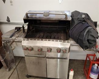 Weber, Summit Grill