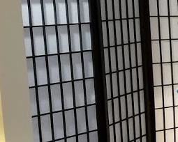 Asian privacy screen ~ $60