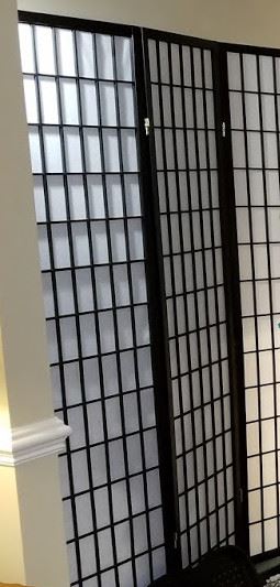Asian privacy screen ~ $60