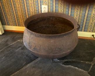 incredibly murky goldfish bowl