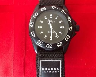 Skagen Adjustable Watch