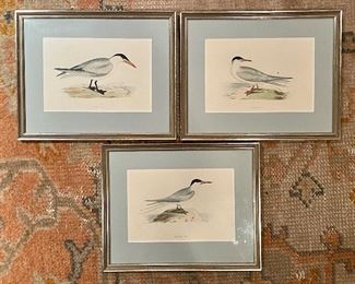 Item 34:  (3) Watercolors - 11.5" x 9.25":  $115