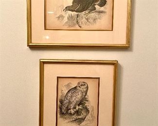 Item 56:  (4) Etchings:  $45 each         UPDATE: Two Hawks is SOLD!                                                                           Sparrow Hawk & Golden Eagle - 7.5" x 9.75"                                                                        Oyster Catcher & Snowy Owl - 9.75" x 8"  -