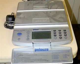Pelouze Model PS20DL Scale, And Myweigh I2600 Digital Scale