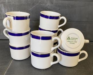 10 American Airlines Cups