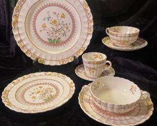 112Spode Buttercup