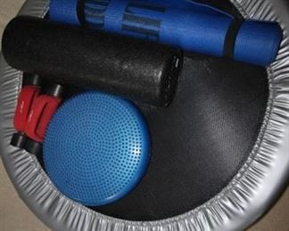 $35. Assortment of exercise equipment and mat.