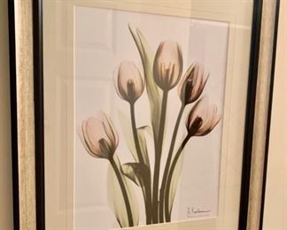 Tulip Artwork