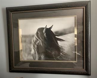 178. Horse Print (34" x 29")