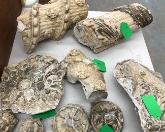 Architectural Salvage