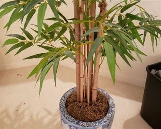 Lotus Flower Pot with Bamboo Plant