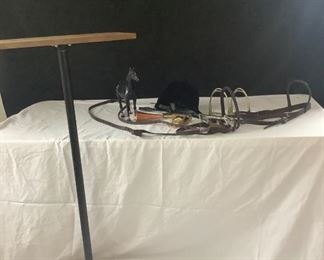 Equestrian Enthusiast