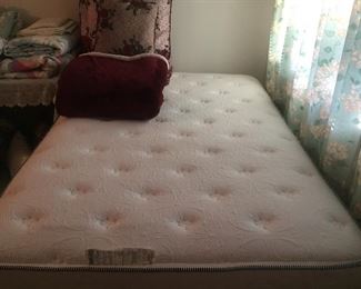 Plush mattress and box springs. Full size.