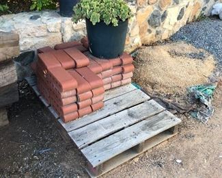 plants and bricks