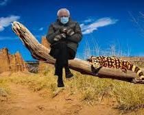 Bernie keeping warm in AZ, Priceless...