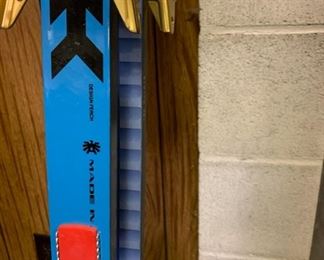 Fischer Skis