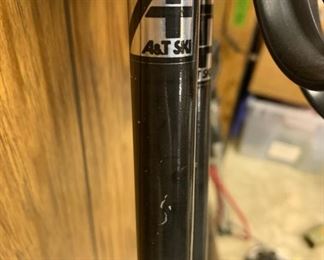 Vintage Ski Poles 