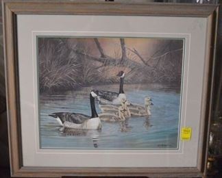 7045 - Large Framed Duck Print - McDonald