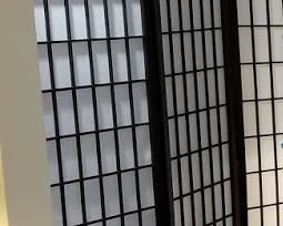Asian privacy screen ~ $50 