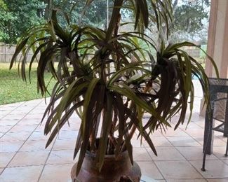Looks like live palm plant in heavy gorgeous clay pot