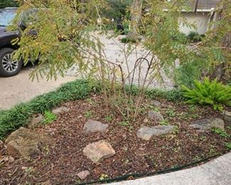 Limestone landscaping rocks through out the entire yard