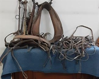 Horse Tack