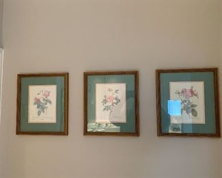 Botanical prints