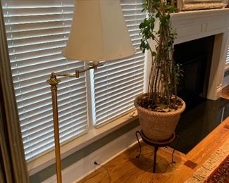 Brass floor lamp, house plants