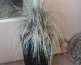 Crate & Barrel heavy tall planter